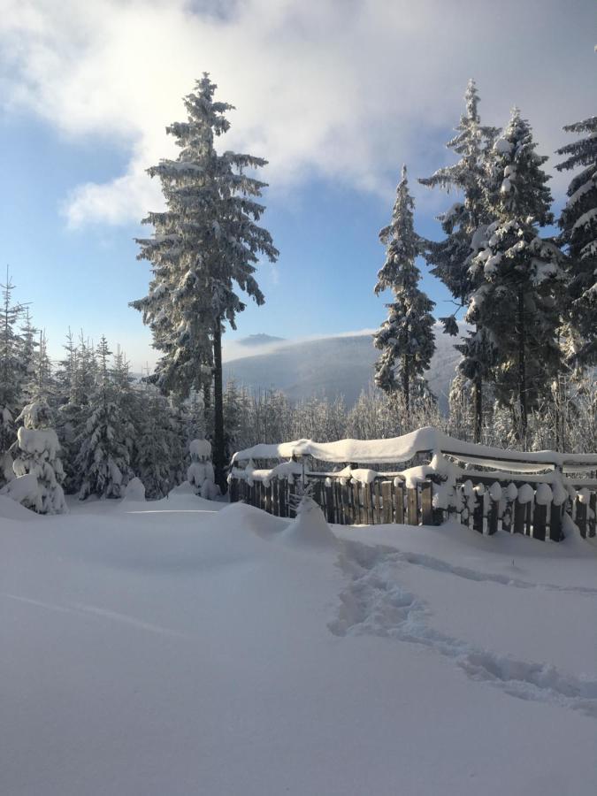 Villa La Val, Apartamenty Wałbrzych Buitenkant foto